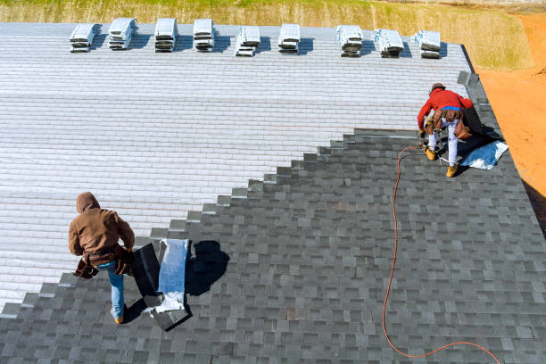 Best Storm Damage Roof Repair  in Audubon, NJ