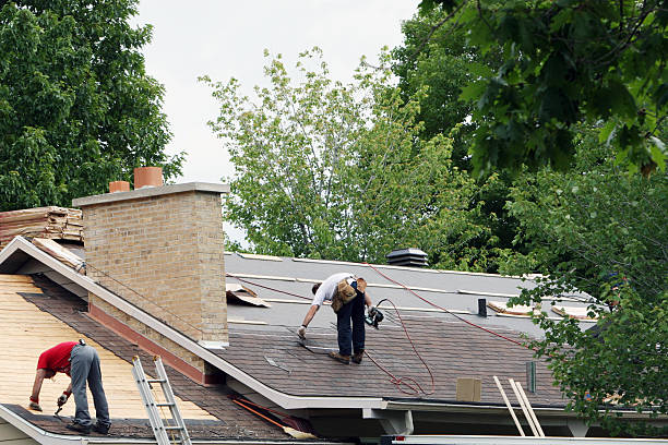 Best Roof Maintenance Services  in Audubon, NJ