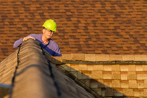 Best Local Roofing Companies  in Audubon, NJ